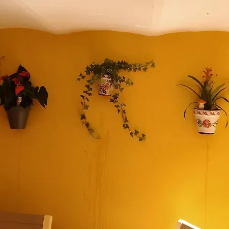 Rcbcaleros Apartamento Caces