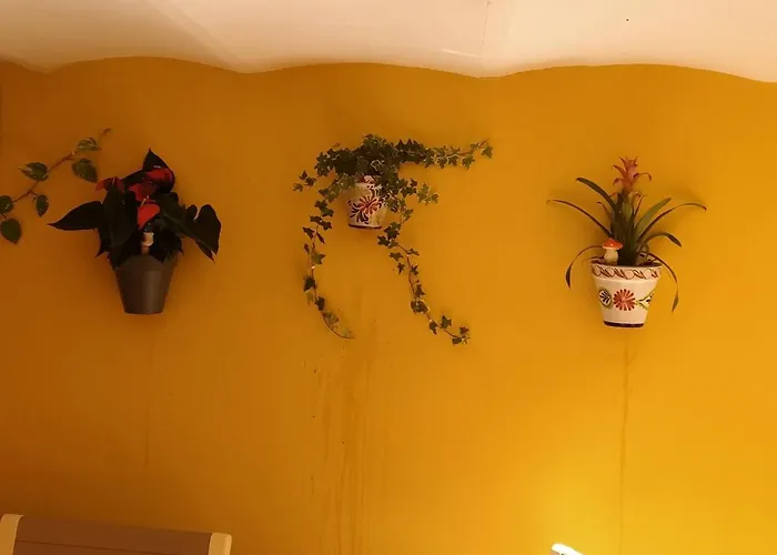 Rcbcaleros Lejlighed Caces